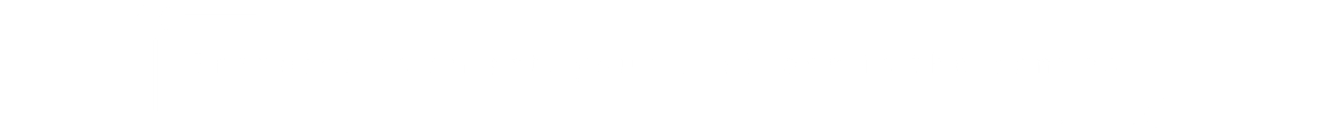 _SS1_Website_Branding-page